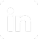 LinkedIn Icon