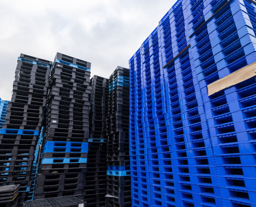 Image of Plastic Pallets